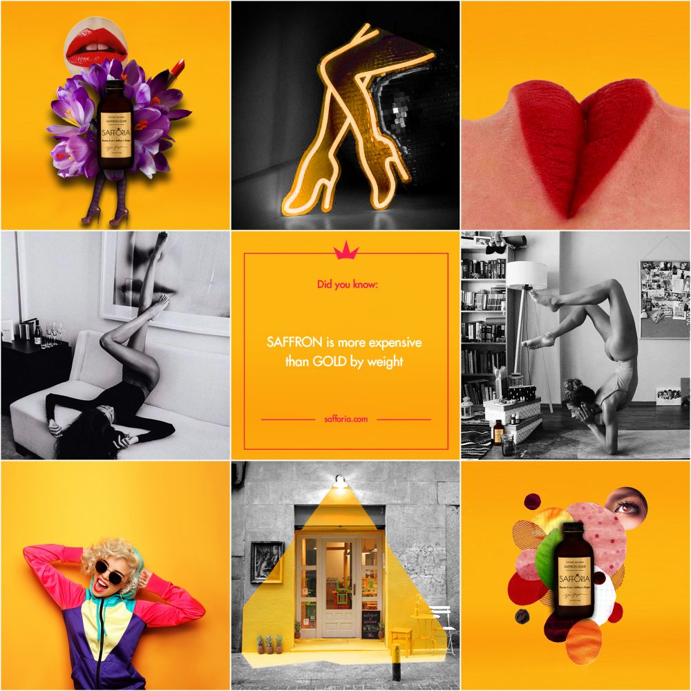 Safforia-layout-yellow